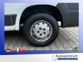 Fiat Ducato 2.2 JTD Kasten *AHK*PARKHILFE* Blanc - thumbnail 14