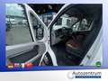 Fiat Ducato 2.2 JTD Kasten *AHK*PARKHILFE* Weiß - thumbnail 5