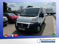 Fiat Ducato 2.2 JTD Kasten *AHK*PARKHILFE* Weiß - thumbnail 3