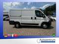 Fiat Ducato 2.2 JTD Kasten *AHK*PARKHILFE* Blanco - thumbnail 17