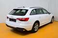 Audi A4 Avant 30 TDI S-tronic Weiß - thumbnail 3