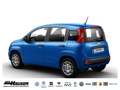 Fiat Panda Hybrid 1.0 GSE PANDINA KLIMA PDC Blau - thumbnail 3