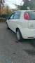 Fiat Grande Punto Grande Punto 5p 1.2 Actual 65cv - thumbnail 4