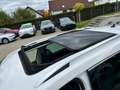 Skoda Kodiaq 2.0 TDI Scout 4x4°DSG°Kamera°Navi°Leder° Weiß - thumbnail 19