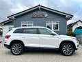 Skoda Kodiaq 2.0 TDI Scout 4x4°DSG°Kamera°Navi°Leder° Weiß - thumbnail 2