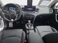 Kia XCeed 1.6 CRDI Platinum Edition +Automatik+Navi+ Alb - thumbnail 9