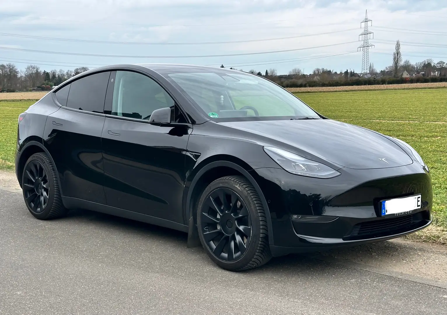 Tesla Model Y Dual Motor AWD Allrad Parksensoren Negru - 1