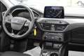 Ford Focus 1.5 ecoblue Business 120cv auto Con NAVIGATORE Nero - thumbnail 11