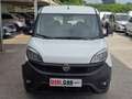 Fiat Doblo 5 posti Blanc - thumbnail 2