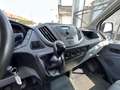 Ford Transit 2.0 tdci 105CV L2 H2 Bianco - thumbnail 9