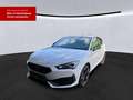 CUPRA Leon 1.5 TSI LED SHZ ACC Bianco - thumbnail 2