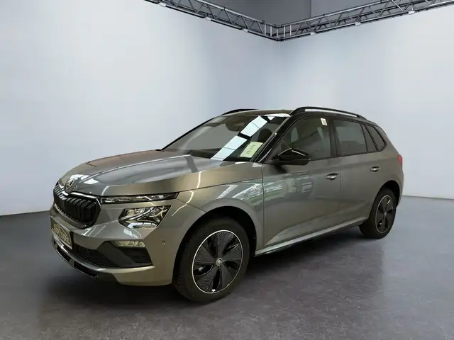 Skoda Kamiq view 2