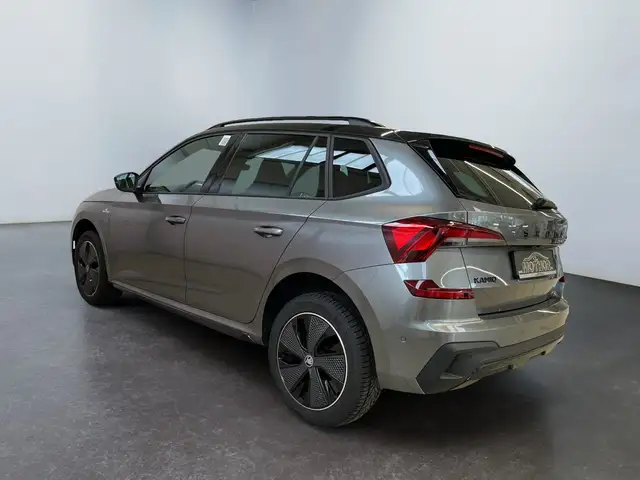 Skoda Kamiq view 6