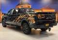 Ford F 150 FX4 3.5 V6 Ecoboost 4X4 DC LPG Leer Camera Marge Fekete - thumbnail 13