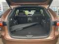 Mazda CX-80 3.3 e-SKY.D 254 Homura Plus 6.Sitze,el.AHK Brun - thumbnail 19