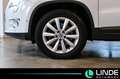 Volkswagen Tiguan Sport & Style 4Motion |NAVI|PANO.|17 ALU Bianco - thumbnail 3