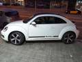 Volkswagen Beetle 1.4 TSI Design DSG 150 Blanc - thumbnail 4