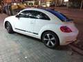 Volkswagen Beetle 1.4 TSI Design DSG 150 Weiß - thumbnail 5