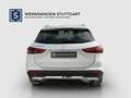 Mercedes-Benz GLA 250 GLA 250 e Progress AHK Pano LED Sound Kam Leder Weiß - thumbnail 6