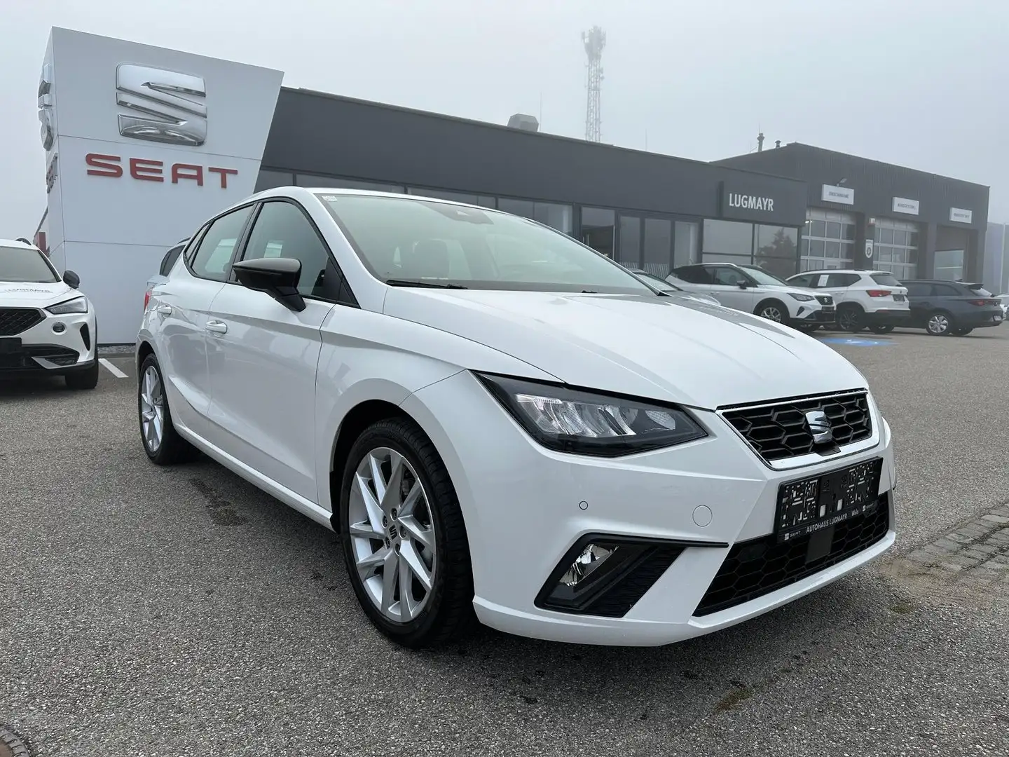 SEAT Ibiza Blanc - 2