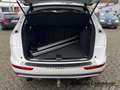 Audi Q5 3.0 TDI quattro DPF +1.HAND+AHK+NAVI+RFK+STH+ Weiß - thumbnail 20