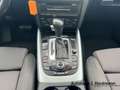 Audi Q5 3.0 TDI quattro DPF +1.HAND+AHK+NAVI+RFK+STH+ Weiß - thumbnail 17