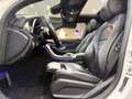 Mercedes-Benz C 220 d AMG*NIGHT*MASSAGE*DISTR*PANO*STANDHZ*RFK Blanc - thumbnail 15