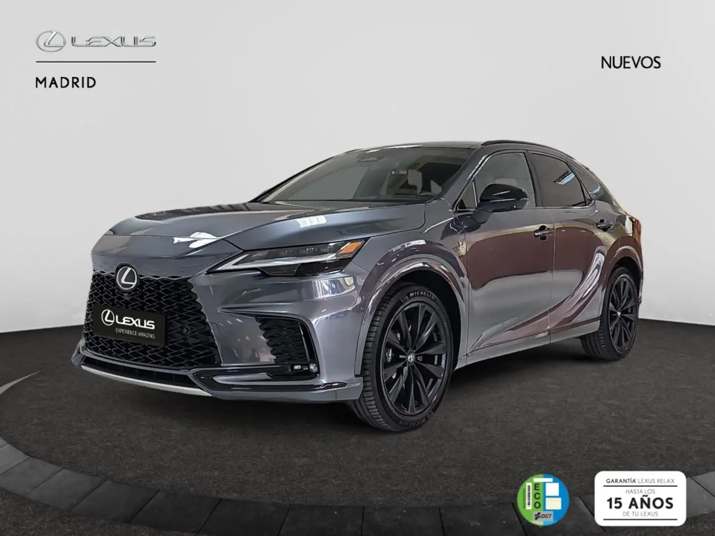 Lexus RX 450h 500h F Sport Gris - 2