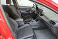 Hyundai i30 i30 2.0 t-gdi N Performance my19 Rosso - thumbnail 5