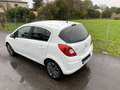 Opel Corsa Corsa 5p 1.3 cdti Sport 95cv 6m Bianco - thumbnail 4