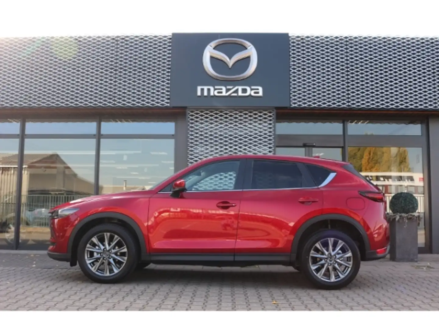 Mazda CX-5 SKY-D AWD SPORT-LINE+LEDER+BOSE+360°CAM Rojo - 2