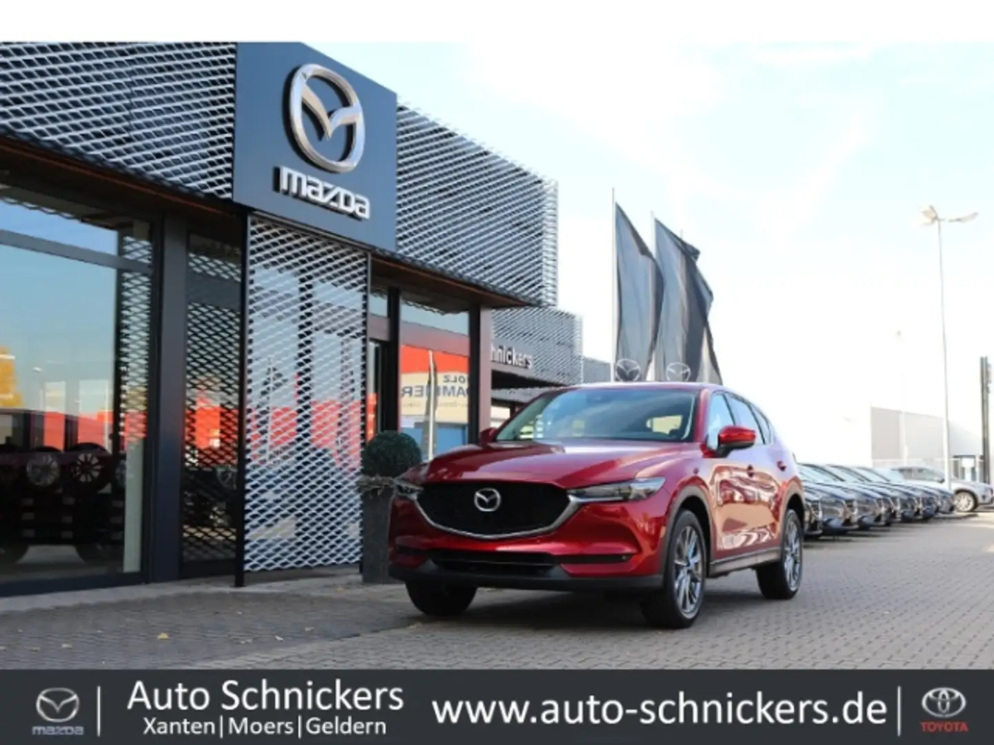 Mazda CX-5 SKY-D AWD SPORT-LINE+LEDER+BOSE+360°CAM Rojo - 1