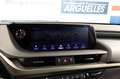 Lexus ES 300 300h Premium 218cv Blauw - thumbnail 24