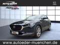 Mazda CX-30 Selection 2WD Bluetooth Head Up Display Navi Blau - thumbnail 1
