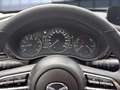 Mazda CX-30 Selection 2WD Bluetooth Head Up Display Navi Grau - thumbnail 14
