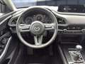 Mazda CX-30 Selection 2WD Bluetooth Head Up Display Navi Grau - thumbnail 18