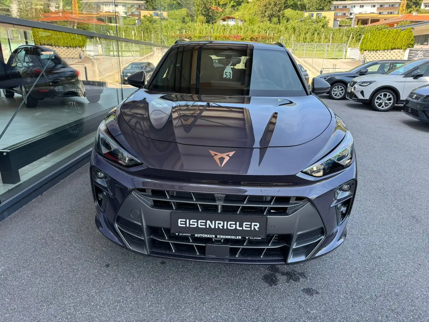 CUPRA Terramar 2.0 TSI 204 PS DSG 4Drive Violett - 2