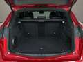 Alfa Romeo Stelvio 2.9 Bi-Turbo V6 Quadrifoglio Super Sport 1 OF 175 Rosso - thumbnail 7