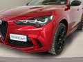 Alfa Romeo Stelvio 2.9 Bi-Turbo V6 Quadrifoglio Super Sport 1 OF 175 Rosso - thumbnail 35