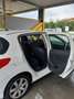 Peugeot 308 308 I 2007 5p 1.6 hdi 16v Feline 110cv 6m fap Bianco - thumbnail 1