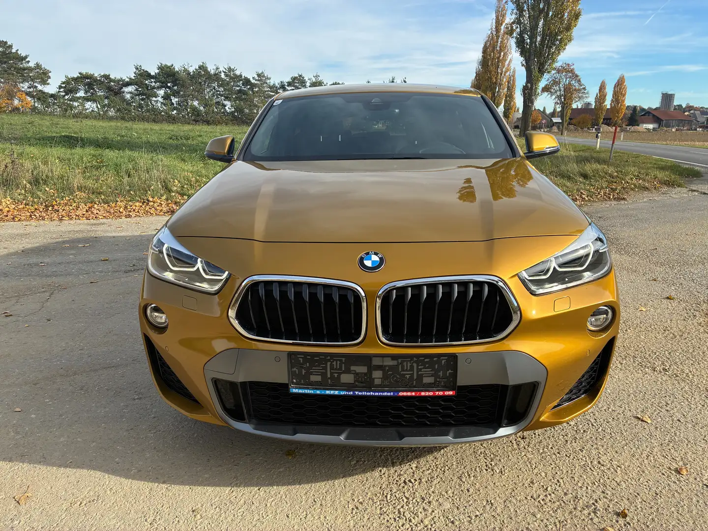 BMW X2 xDrive 18 d M Sport X wenig KM Oro - 2