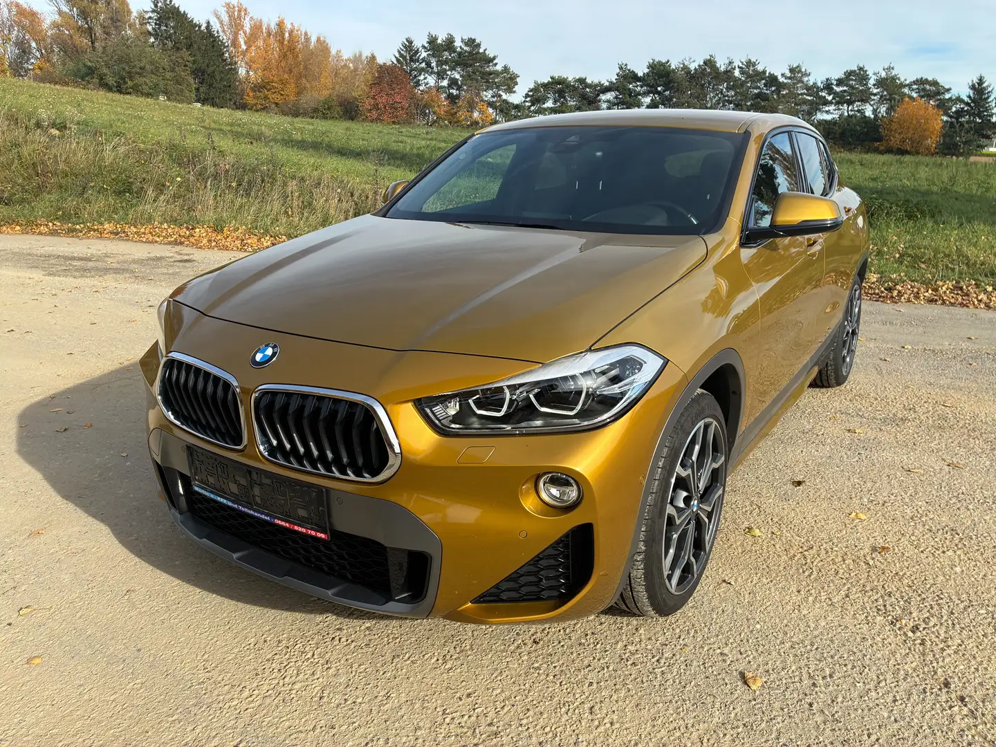 BMW X2 xDrive 18 d M Sport X wenig KM Oro - 1