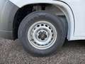 Toyota Proace Max 2.2-l-D 35 L3H2 Heavy Meister Wit - thumbnail 14