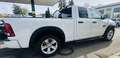 Dodge RAM Dodge RAM Weiß - thumbnail 14