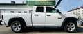 Dodge RAM Dodge RAM Weiß - thumbnail 27
