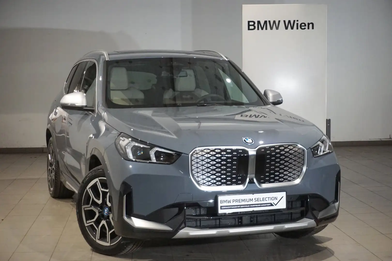 BMW iX1 iX1 xDrive30 Gris - 1