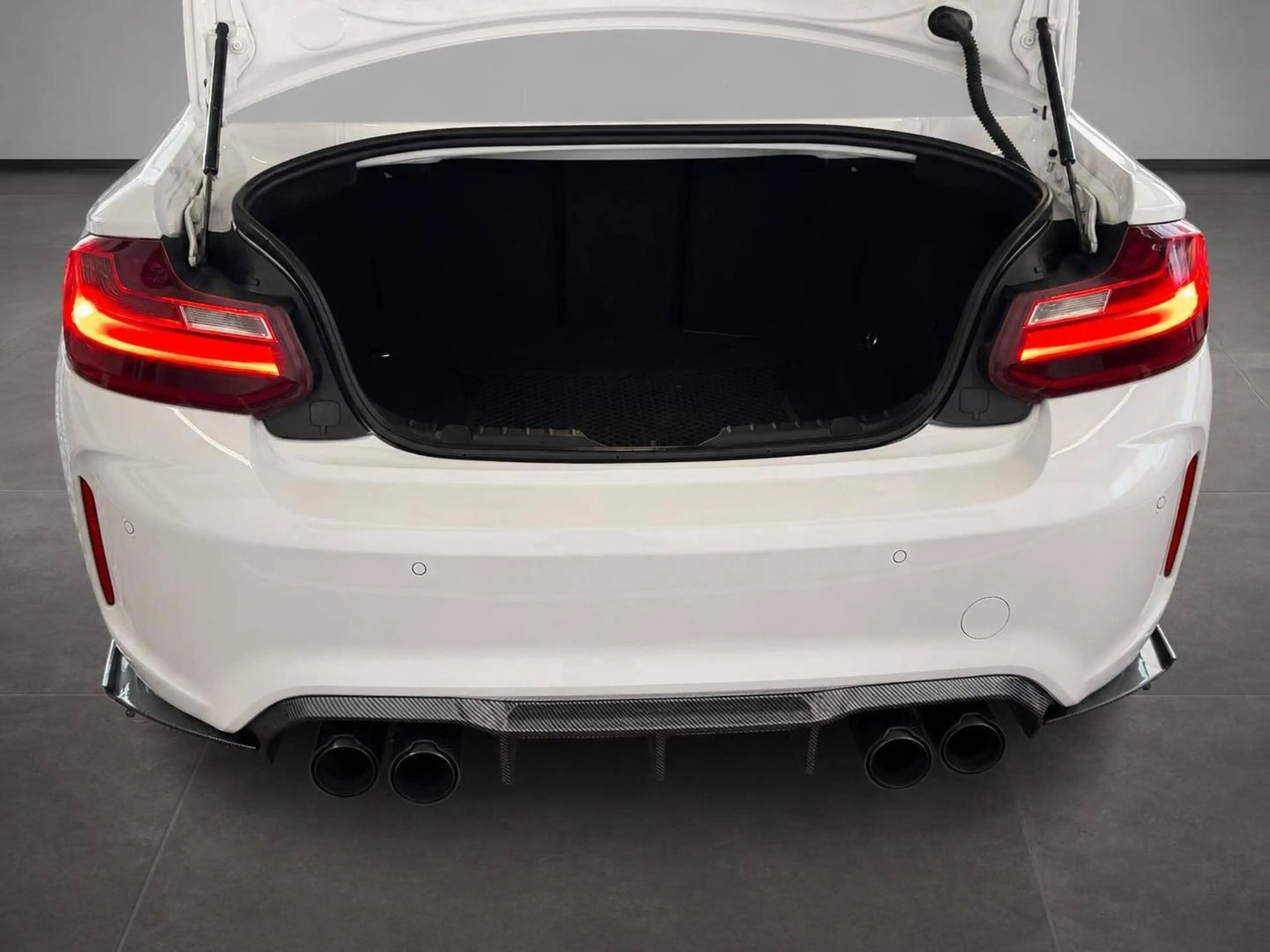 BMW M2 M Performance ESD — photo 9