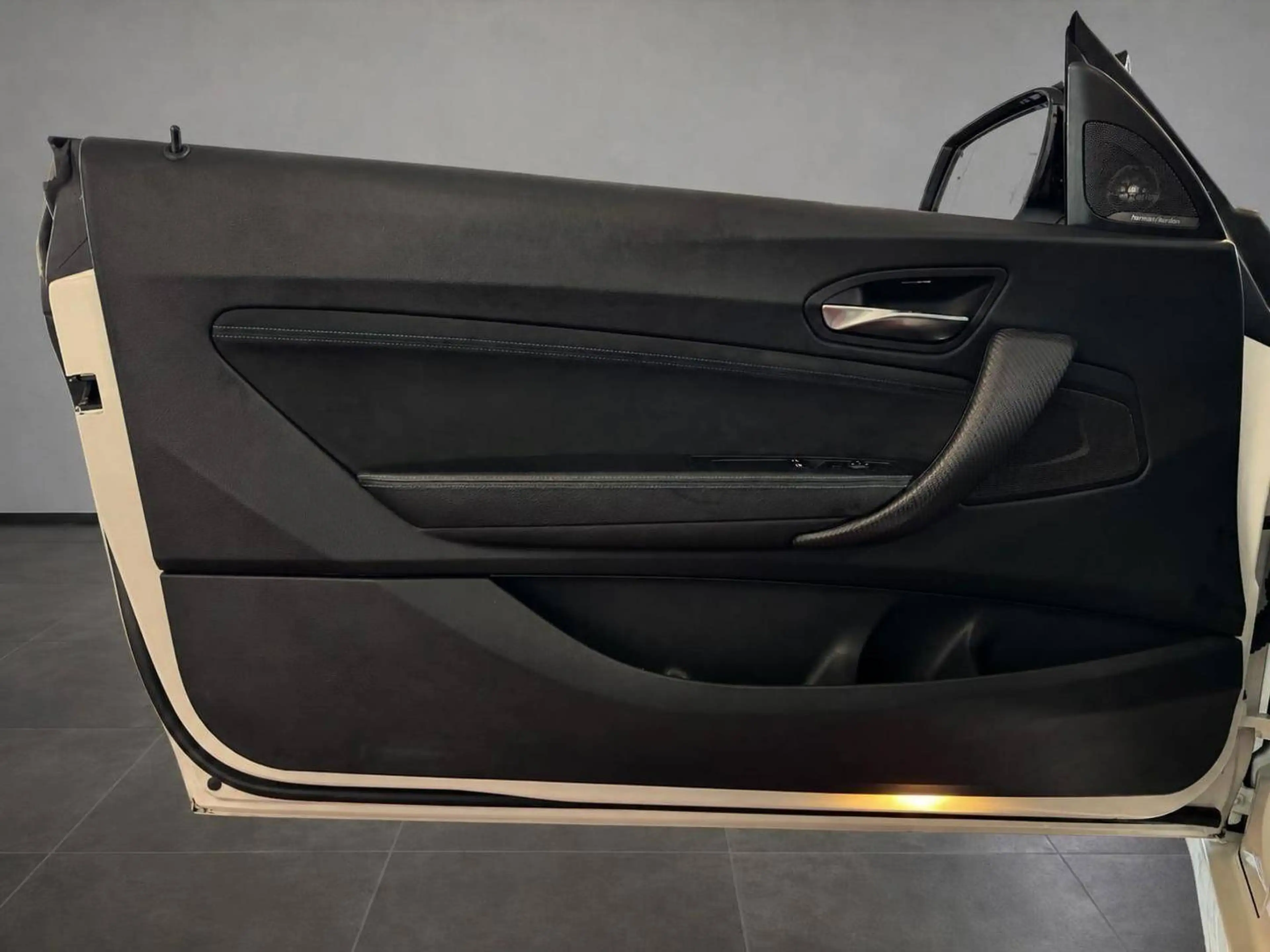 BMW M2 M Performance ESD — photo 11