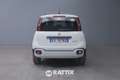 Fiat Panda 1.0 Firefly Hybrid 70CV Cross 5p.ti Blanc - thumbnail 5