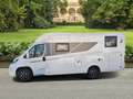 Rapido EX MIETWAGEN * C55 SOFORT LIEFERBAR Weiß - thumbnail 4